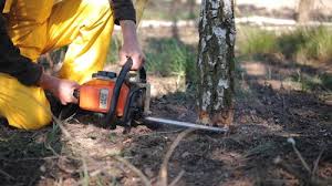 Best Soil Testing and Treatment  in Buffalo, NY