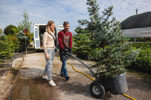 Best Tree Risk Assessment  in Buffalo, NY